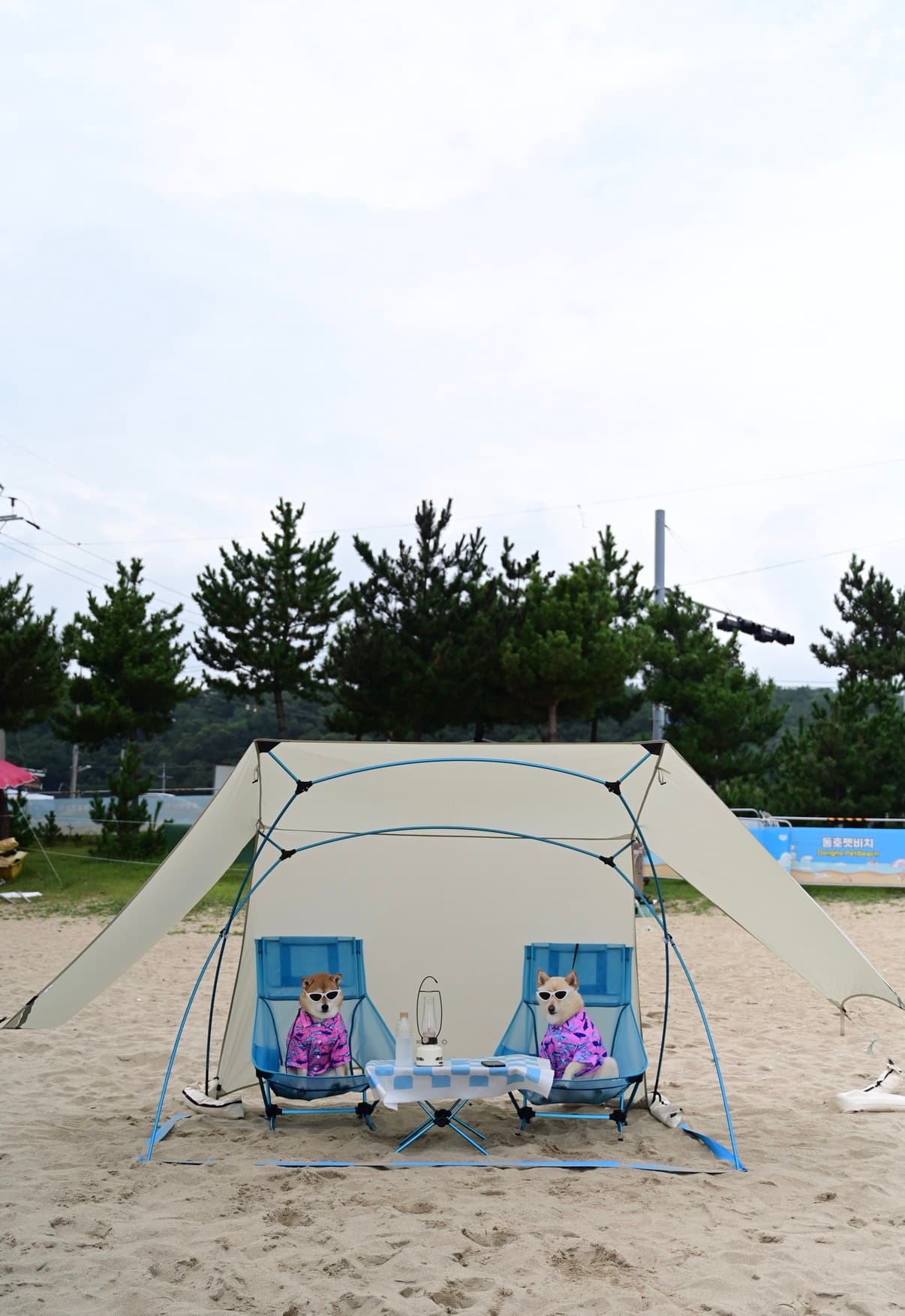 IMG_8612.jpeg 캠핑 사진