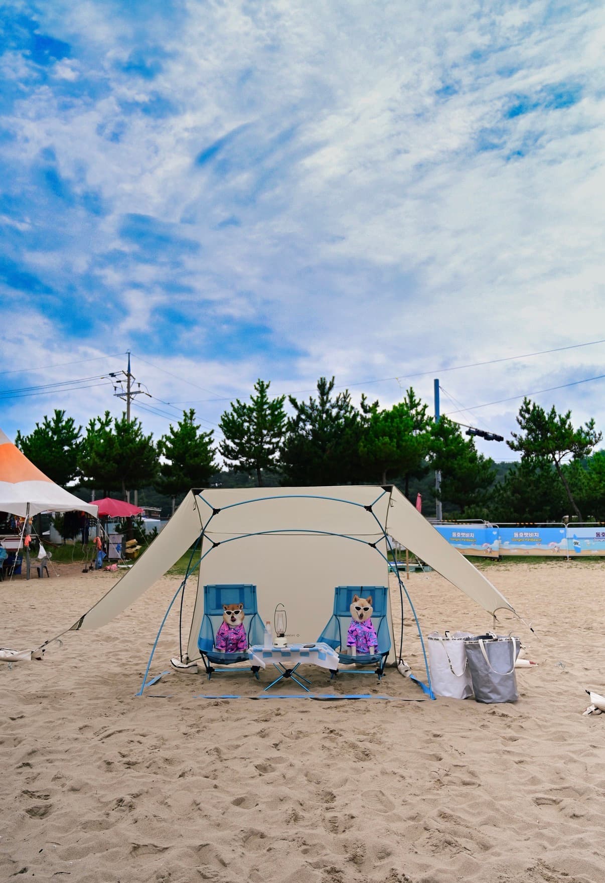 작지만 알찬 캠프닉 장비 ♥️ 대표 사진